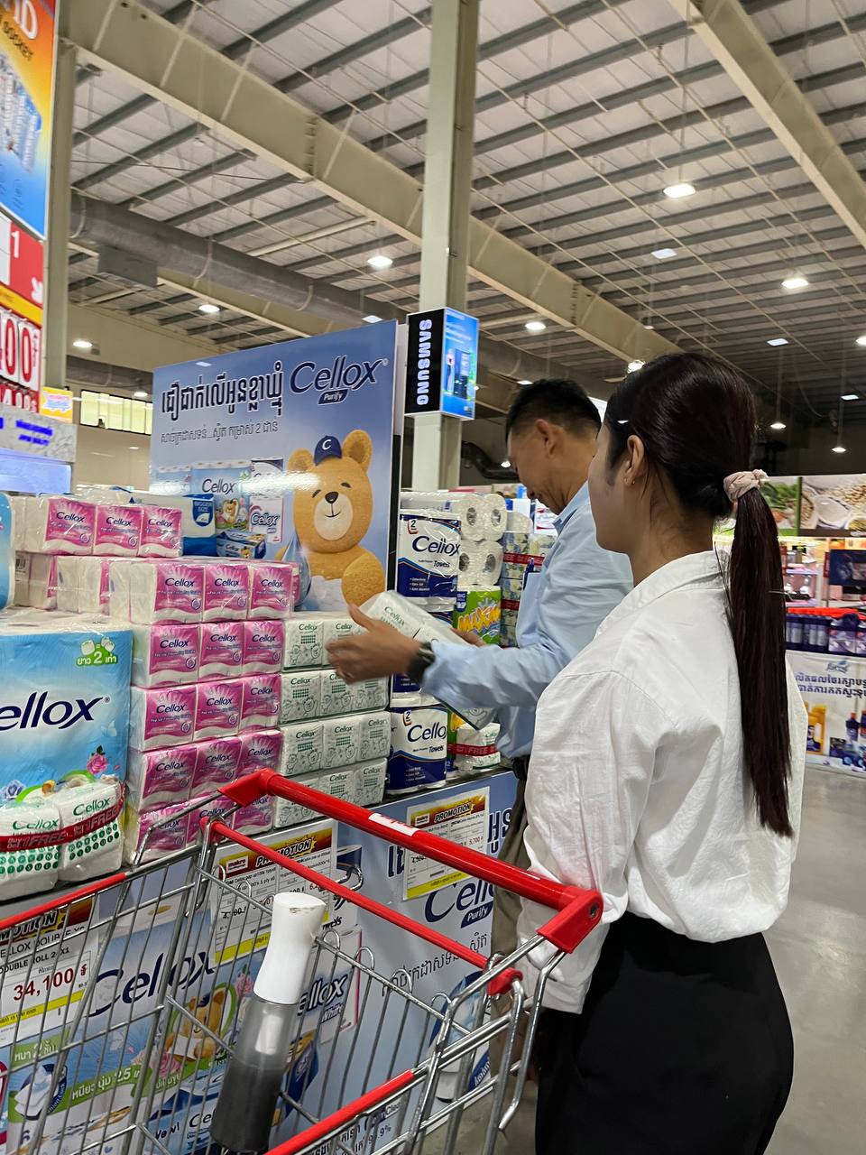 Importation of Consumer Goods in Cambodia - Image 15